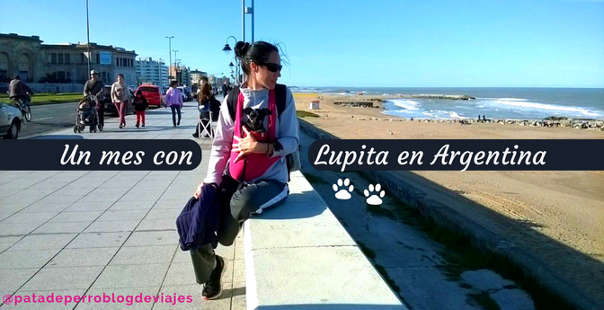 Un mes con Lupita en Argentina